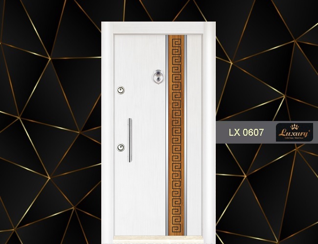 dual color laminox serie steel door lx 0607